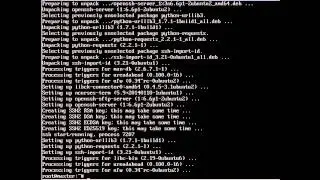 Creating a virtual cluster: Ubuntu. Part 2 (Master network, DNS)