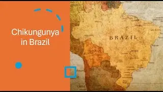 Chikungunya in Brazil