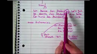 N Nouns or Strong Nouns in German