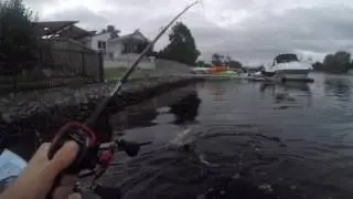yak jack 24 3