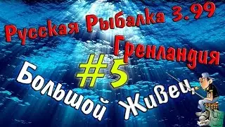 Русская рыбалка 3.99 (#5) Ловля  большого живца.