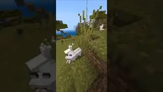 Curiosidades de más Llamas #minecraft #short #shorts #subscribe