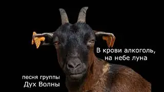 В крови алкоголь на небе луна