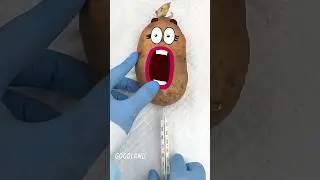 Goodland | Potato surgery 😳
