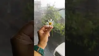 Darjeeling vibe#darjeeling #monsoon