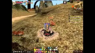 Жёсткое PvP 18+. Пал 69 vs Маг 75+