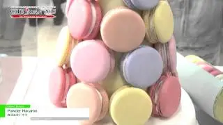 [CITE JAPAN 2015] Powder Macaron - 株式会社トキワ