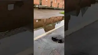 Поглотила святая земля сатанинское покрытите?