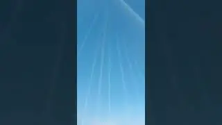 balão show