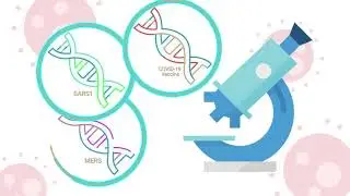 How are vaccines developed