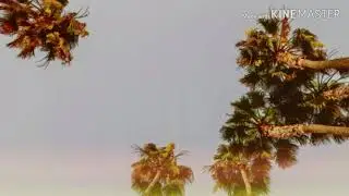 avery by the licks lyrics
