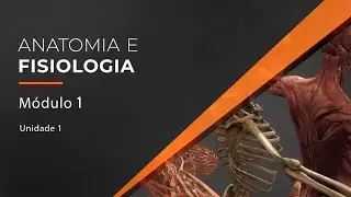 Human Anatomy and Physiology