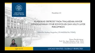 Klasifikasi Eritrosit pada Thalasemia Minor Menggunakan Fitur Konvolusi dan Multi-layer Perceptron