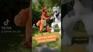 Vulpix Fursuits 
