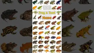 100 Frog & Toad Name : Part- 05 