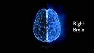 Whole Brain Thinking - part 1