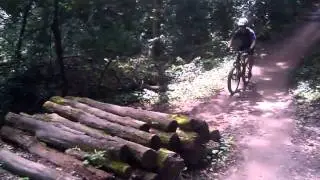 Bamboo fat bike on log pile