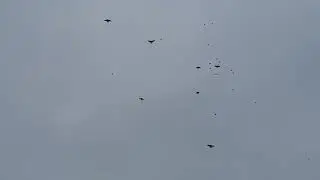 31 декабря 2023 г.