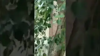 Угледар 2022. Шахтерская 10, 44
