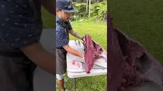 Fresh sashimi right off the fish