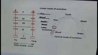 L1 In Depth Acupuncture