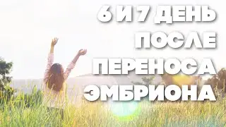 6 и 7 день после переноса |Мои ощущения