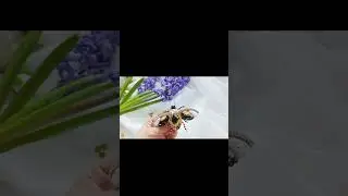 Брошь "жужа" #брошь #брошьжужа #брошьназаказ