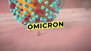Шипы «ОМИКРОНА». Риск остается высоким.