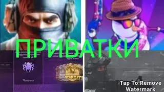 ТОП 3-ЁХ ПРИВАТОК