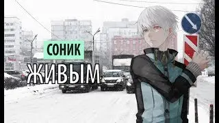 соник20 - живым