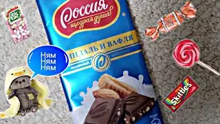 Как БАСИКИ хотели найти ШОКОЛАДКУ😂