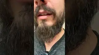 How Many Grey Hairs Are in My Beard #greybeard #beard #beardjourney