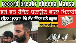 ਦੇਖੋ 7,7 , ਲੱਖ ਜਿੱਤਣ ਵਾਲੇ ਕਬੂਤਰ। ਚੀਨਾ ਮਾਨਸਾ। ਵੱਡੇ ਵੱਡੇ ਰੈਕੋਡ ਬਾਉਣ ਵਾਲਾ।।cheena mansa