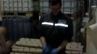 Безумие