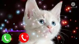 🌺 Top Best Famous 💕 Ringtones 2023 🌿 |