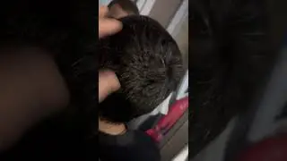 ARM KIROVABAD ARMEN ARAKELYAN BABO DEDO