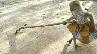 YaYa Uses Rubbish Tool To Clean, Helpful To Mummy