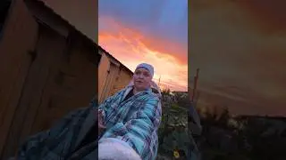 24 августа 2024 г.