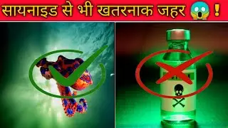 सायनाइड से खतरनाक poison छोटा सा जीव😱 // MINDBLOWING FACT IN IN HINDI // Amazing facts ll