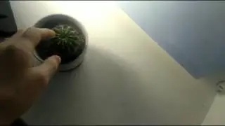 ОБЪЯСНЯЮ КАКТУСУ, ПОЧЕМУ НАМ НУЖЕН КОММУНИЗМ.
