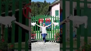 Отправить