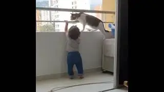 КОТ СПАС РЕБЁНКА НА БАЛКОНЕ / Cat Saves Baby's Life