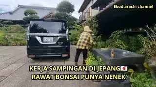 DI JEPANG🇯🇵 GAJIH NYA KECIL, KERJA SAMPINGAN MALAH DI SURUH NGERAWAT BONSAI