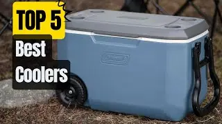Top 5 Best Coolers in 2023