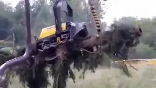 Ponsse Ergo harvester  1