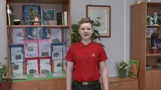 Конкурс чтецов 