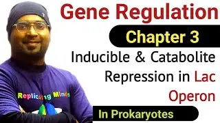 Gene Regulation - 3 | Lac Operon | Catabolite Repression | Gene Expression Regulation In Prokaryotes