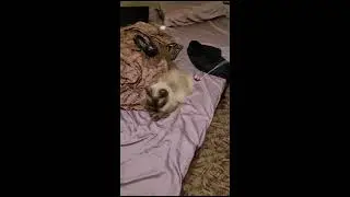 Изя.