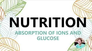 NUTRITION I ABSORPTION OF IONS