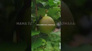 сила слова - не делайте о человеке поспешных выводов